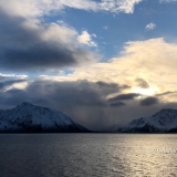 Die MS Polarlys südwärts Richtung Tromsø