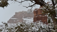 Winterlandschaft bei der Park Avenue