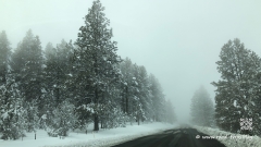 Entlang dem Highway 26 quer durch Oregon