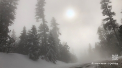 Entlang dem Highway 26 quer durch Oregon