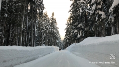 Entlang dem Highway 26 quer durch Oregon