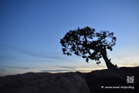 Er trotzt Wind und Wetter