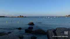 Ein-Tag-in-der-Bretagne-15