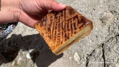 Ein-Tag-in-der-Bretagne-5