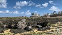 Ein-Tag-in-der-Bretagne-6