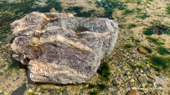 Ein-Tag-in-der-Bretagne-7