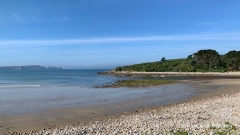 Wie-isst-man-Langustines-1