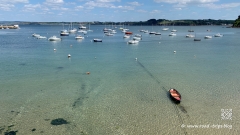 Wie-isst-man-Langustines-12