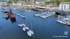 Wie-isst-man-Langustines-14