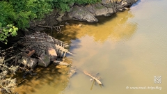 Wie-isst-man-Langustines-15