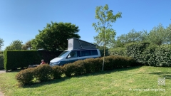 Wie-isst-man-Langustines-20