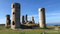 Wie-isst-man-Langustines-5