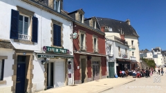 Wie-isst-man-Langustines-8