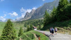 Palfries-Bahn-und-Light-Ragaz-6