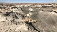 Bisti-Badlands-184
