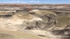 Bisti-Badlands-204