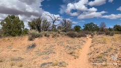 Neck-Spring-Trail-12