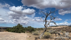 Neck-Spring-Trail-15