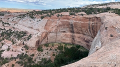 Neck-Spring-Trail-17