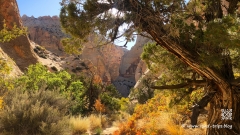 Waterpocket-Fold-108