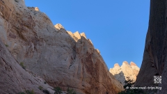 Waterpocket-Fold-114