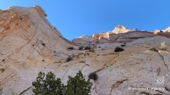 Waterpocket-Fold-122