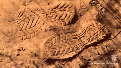 Waterpocket-Fold-134