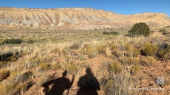 Waterpocket-Fold-138