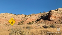 Waterpocket-Fold-146