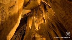 Lehman-Caves-and-Highway-50-Photo-8