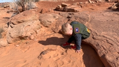 Am Sändele im Arches National Park