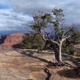 B-Canyonlands-National-Park-Island-in-the-Sky-District