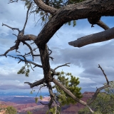 C-Canyonlands-National-Park-Island-in-the-Sky-District