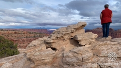 D-Canyonlands-National-Park-Island-in-the-Sky-District
